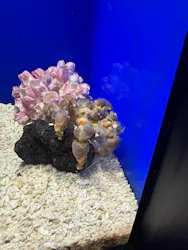 サンシャイン水族館に投稿された画像(2026/8/14)