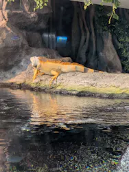 サンシャイン水族館に投稿された画像(2026/8/14)