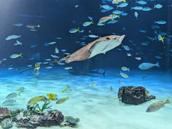 サンシャイン水族館に投稿された画像(2026/8/14)