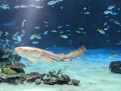 サンシャイン水族館に投稿された画像(2026/8/14)