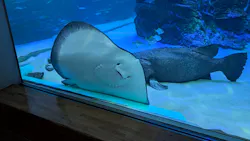 名古屋港水族館に投稿された画像(2026/8/14)