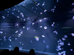 サンシャイン水族館に投稿された画像(2026/8/14)