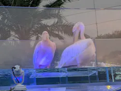 サンシャイン水族館に投稿された画像(2026/8/14)