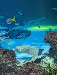 サンシャイン水族館に投稿された画像(2026/8/14)
