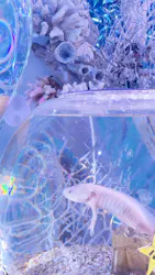 ひらかたパークに投稿された画像(2026/8/14)