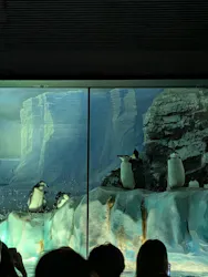 名古屋港水族館に投稿された画像(2026/8/14)