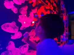 名古屋港水族館に投稿された画像(2026/8/14)