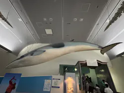 名古屋港水族館に投稿された画像(2026/8/15)