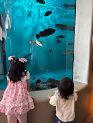 アクアワールド茨城県大洗水族館に投稿された画像(2026/8/15)