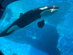 名古屋港水族館に投稿された画像(2026/8/15)