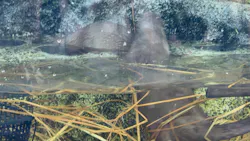 サンシャイン水族館に投稿された画像(2026/8/15)