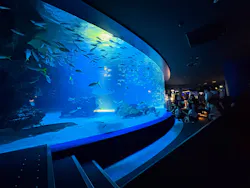 サンシャイン水族館に投稿された画像(2026/8/15)
