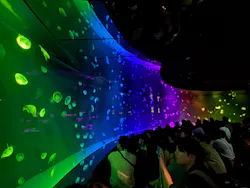 サンシャイン水族館に投稿された画像(2026/8/15)