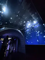 サンシャイン水族館に投稿された画像(2026/8/15)