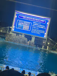 名古屋港水族館に投稿された画像(2026/8/15)