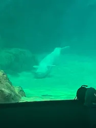 名古屋港水族館に投稿された画像(2026/8/15)