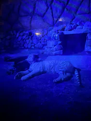 東武動物公園に投稿された画像(2026/8/15)