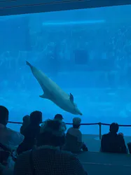 名古屋港水族館に投稿された画像(2026/8/15)