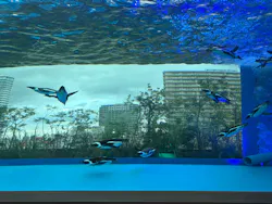 サンシャイン水族館に投稿された画像(2026/8/15)