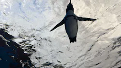 サンシャイン水族館に投稿された画像(2026/8/15)