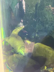 サンシャイン水族館に投稿された画像(2026/8/15)
