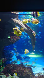 サンシャイン水族館に投稿された画像(2026/8/16)