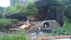 サンシャイン水族館に投稿された画像(2026/8/16)