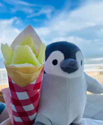 アクアワールド茨城県大洗水族館に投稿された画像(2026/8/16)