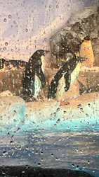 名古屋港水族館に投稿された画像(2026/8/16)