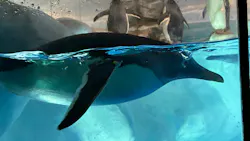 名古屋港水族館に投稿された画像(2026/8/16)