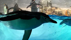 名古屋港水族館に投稿された画像(2026/8/16)