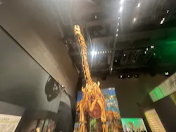福井県立恐竜博物館に投稿された画像(2026/8/16)