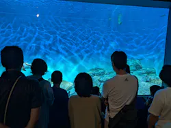 アクアワールド茨城県大洗水族館に投稿された画像(2026/8/16)