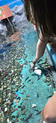 ゼロ距離水族館 伊勢シーパラダイスに投稿された画像(2026/8/16)