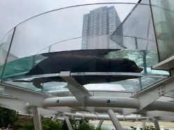 サンシャイン水族館に投稿された画像(2026/8/16)