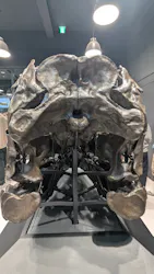 福井県立恐竜博物館に投稿された画像(2026/8/16)