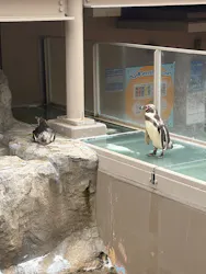 アクアワールド茨城県大洗水族館に投稿された画像(2026/8/16)