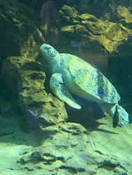 名古屋港水族館に投稿された画像(2026/8/16)