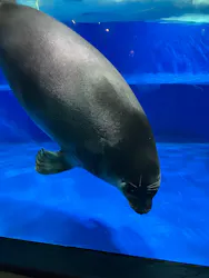 サンシャイン水族館に投稿された画像(2026/8/16)