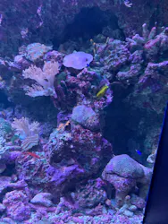サンシャイン水族館に投稿された画像(2026/8/16)