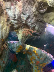サンシャイン水族館に投稿された画像(2026/8/16)