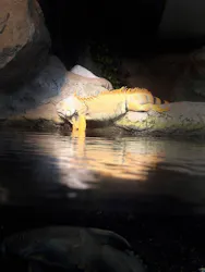 サンシャイン水族館に投稿された画像(2026/8/16)