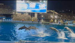 名古屋港水族館に投稿された画像(2026/8/16)