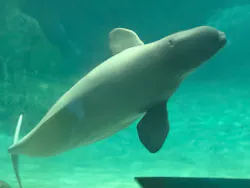 名古屋港水族館に投稿された画像(2026/8/16)
