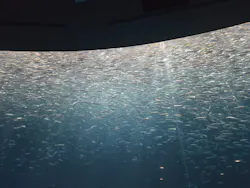 名古屋港水族館に投稿された画像(2026/8/17)