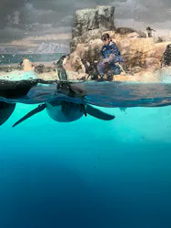 名古屋港水族館に投稿された画像(2026/8/17)