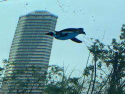 サンシャイン水族館に投稿された画像(2026/8/17)