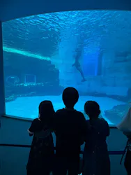 名古屋港水族館に投稿された画像(2026/8/17)