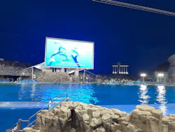 名古屋港水族館に投稿された画像(2026/8/17)