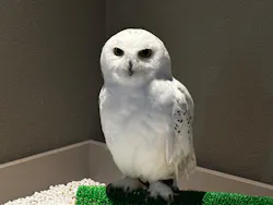 カワスイ 川崎⽔族館に投稿された画像(2026/8/17)